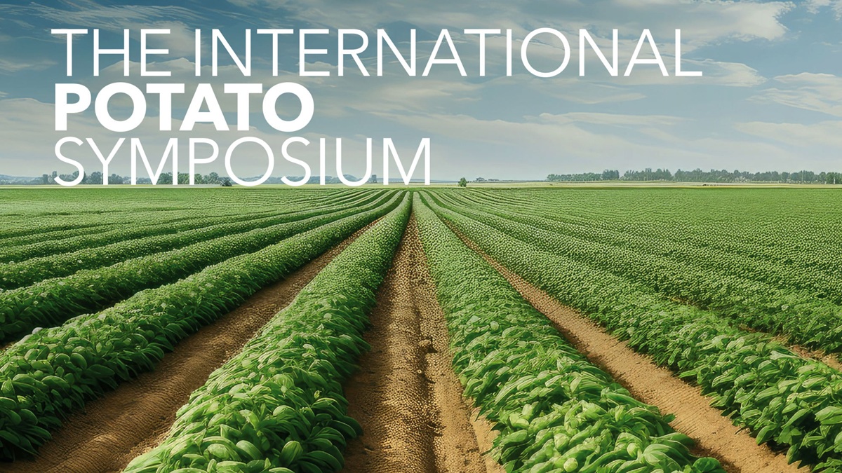 The Internation Potato Symposium